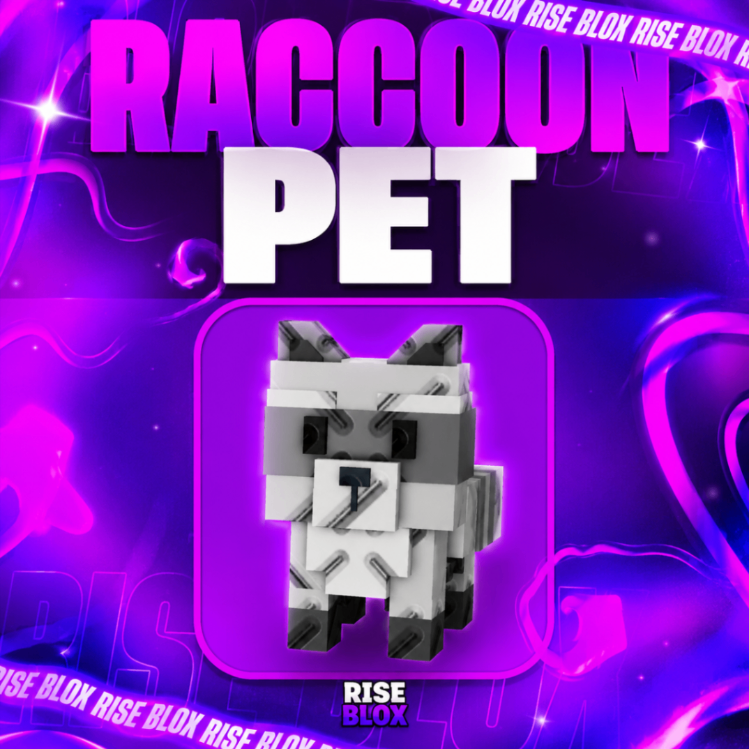 PET RACCOON